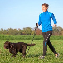 GTE Dog Leash With Padded And Threads Climbing Rope (3 Colors)