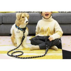 GTE Dog Leash With Padded And Threads Climbing Rope (3 Colors)