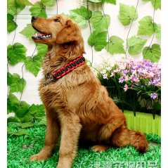 Gdeal Pet Dog Collar Strong Traction Rope Leashes Traction Rope Collar (3 Colors)