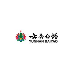 Ipohonline Yunnan Baiyao Capsule 云南白药胶囊 - 0.25 g x 16s x 1 blister pack