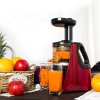 Gdeal Kitchen 150W Fresh Fruit & Vegetable Household Juicer Machine