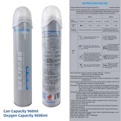 Gdeal Portable Oxygen Inhaler For Home Medical Outdoor Travel Use Multifunctional Oxygen Inhaler