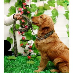 Gdeal Pet Dog Collar Strong Traction Rope Leashes Traction Rope Collar (3 Colors)
