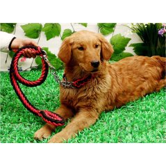 Gdeal Strong Rope Leashes Nylon Rope Pet Dog Collar Chain (3 Colors)