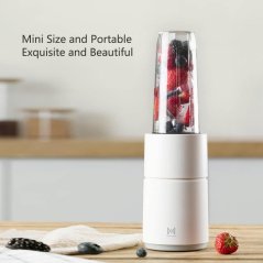 Xiaomi Pinlo Small Monster Fruit Vegetable Electric Juicer Blender