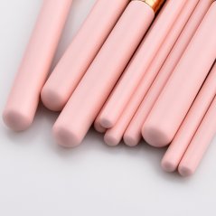 Gdeal 10pcs High Quality Professional Makeup Brush Beauty Tools Set Pink (CM-2888)