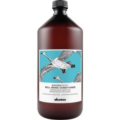 Davines Naturaltech Well-Being Conditioner 1000ml