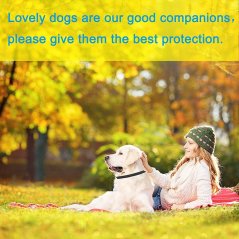 Gdeal Adjustable Waterproof Anti Flea Neck Ring Dog Collar