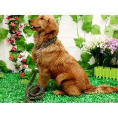 Gdeal Pet Dog Collar Strong Traction Rope Leashes Traction Rope Collar (3 Colors)