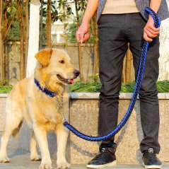 Gdeal Pet Dog Collar Strong Traction Rope Leashes Traction Rope Collar (3 Colors)