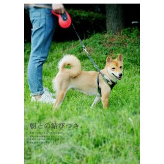 Gdeal 5M Hyena Belt Scalable Pet Leash Extending Leads (Red - White)