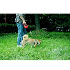 Gdeal 5M Hyena Belt Scalable Pet Leash Extending Leads (Red - White)