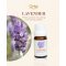 Lavender Essential Oil – Calm • Sleep • Stress Relief - 10ml