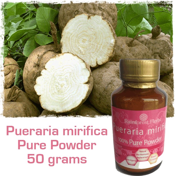 Buy Rainforest Herbs Pueraria Mirifica Powder 50gm eRomman