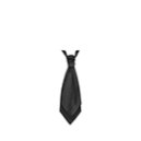 Men Accessories