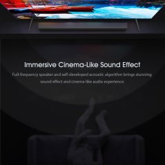 Xiaomi Redmi TV Bar Speaker Wired and Wireless 30W 5.0 Stereo (Black)