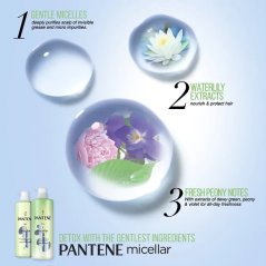Pantene Micellar Detox & Moisturize Shampoo