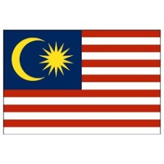 Gdeal 10pcs Waterproof Flag Of Malaysia Facial Tattoo Temporary Tattoo Body Art Flash Tattoo Stickers Water Transfer Removable Tattoo Sticker Colorful