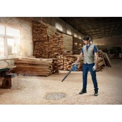 BOSCH GBL 18V-120 Cordless Blower Souffleur Sans-Fil SOLO - 06019F51L0