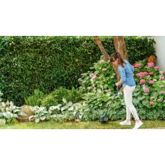 Bosch Professional Easy GrassCut 23 - 06008C1H70