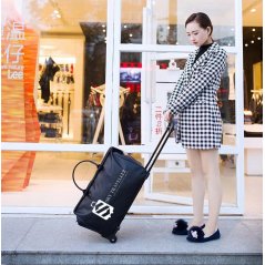 SKY TRAVELLER SKY301 Trolley Travel Bag Casual Luggage 60cm x 22cm x 35cm