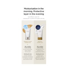 Skin 1004 Madagascar Centella and Soothing Cream 75ml / 30ml