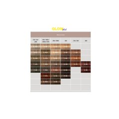 Schwarzkopf Igora Royal Hair Color - 60ml (Absolutes Series)