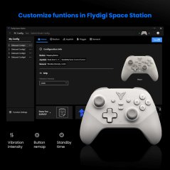 Flydigi Dune Fox Gaming Controller_PC/Switch/Mobile