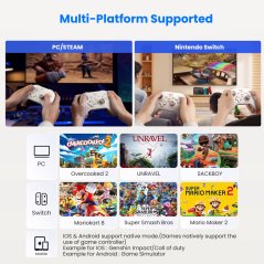 Flydigi Dune Fox Gaming Controller_PC/Switch/Mobile