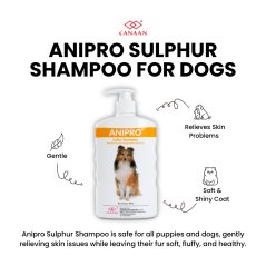 Canaan Anipro Sulphur Dog Shampoo for Dermatitis Issue - 500ml