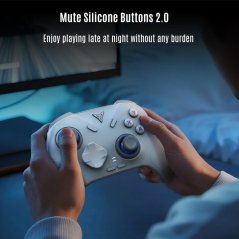 Flydigi Direwolf 4 Wireless Gaming Controller - PC/Switch/Mobile