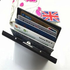 Gdeal SKY Traveller SKY321 Stainless Steel Credit Card Holder (Black)