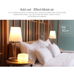 Aromatherapy Humidifier Essential Oil Diffuser Air 300ML (A770)