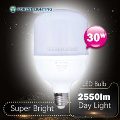 Forest Lighting 30W E27 Energy Saving LED Bulb Daylight (White)