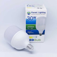 Forest Lighting 30W E27 Energy Saving LED Bulb Daylight (White)