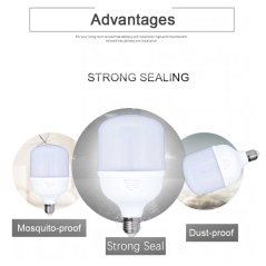 Forest Lighting 30W E27 Energy Saving LED Bulb Daylight (White)